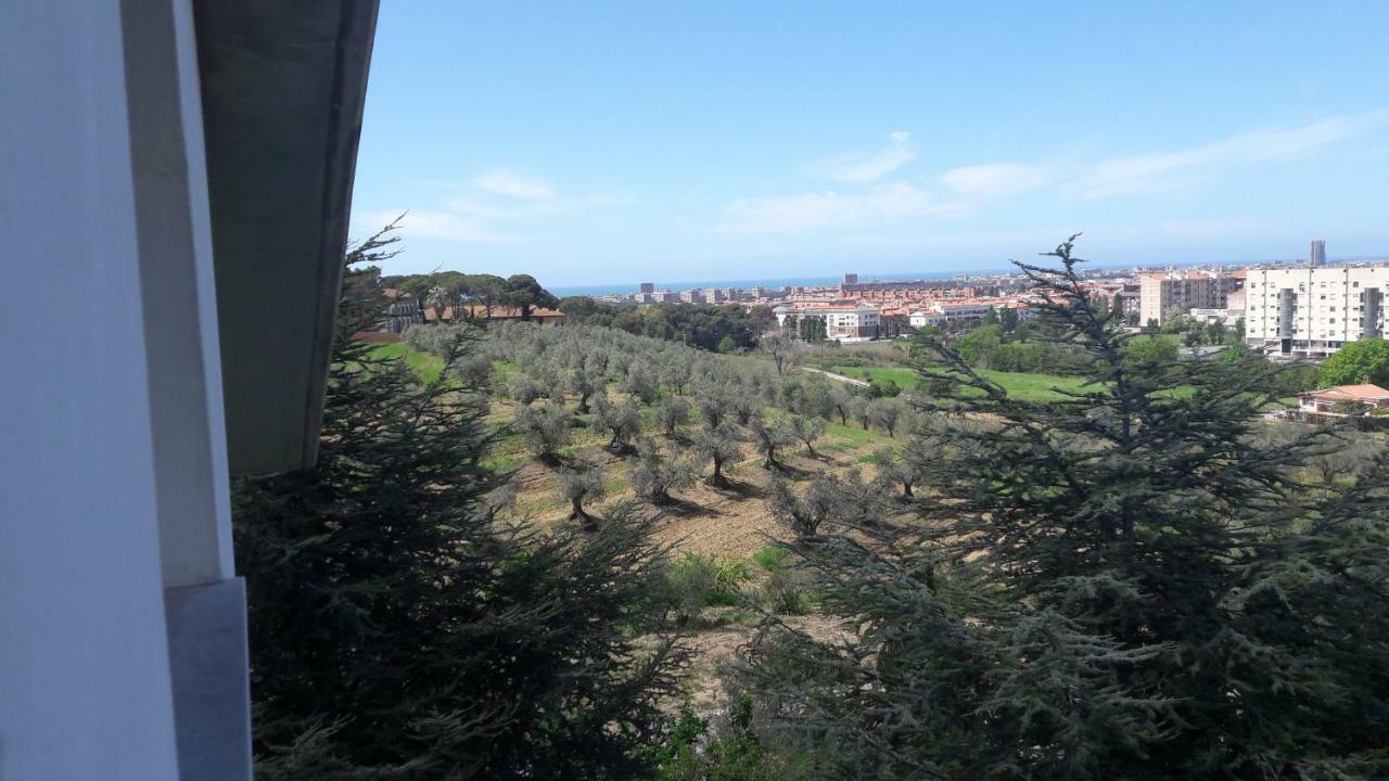 Dolci Ricordi Apartamento Livorno Exterior foto